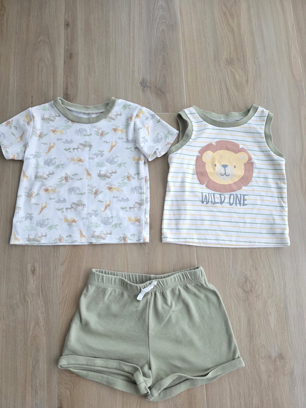 Chickpea Safari Outfit Set – Size 3T (Fits More Like 2T)